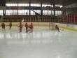 ZLATO z Vánočního turnaje - Příbram 28.12.2011